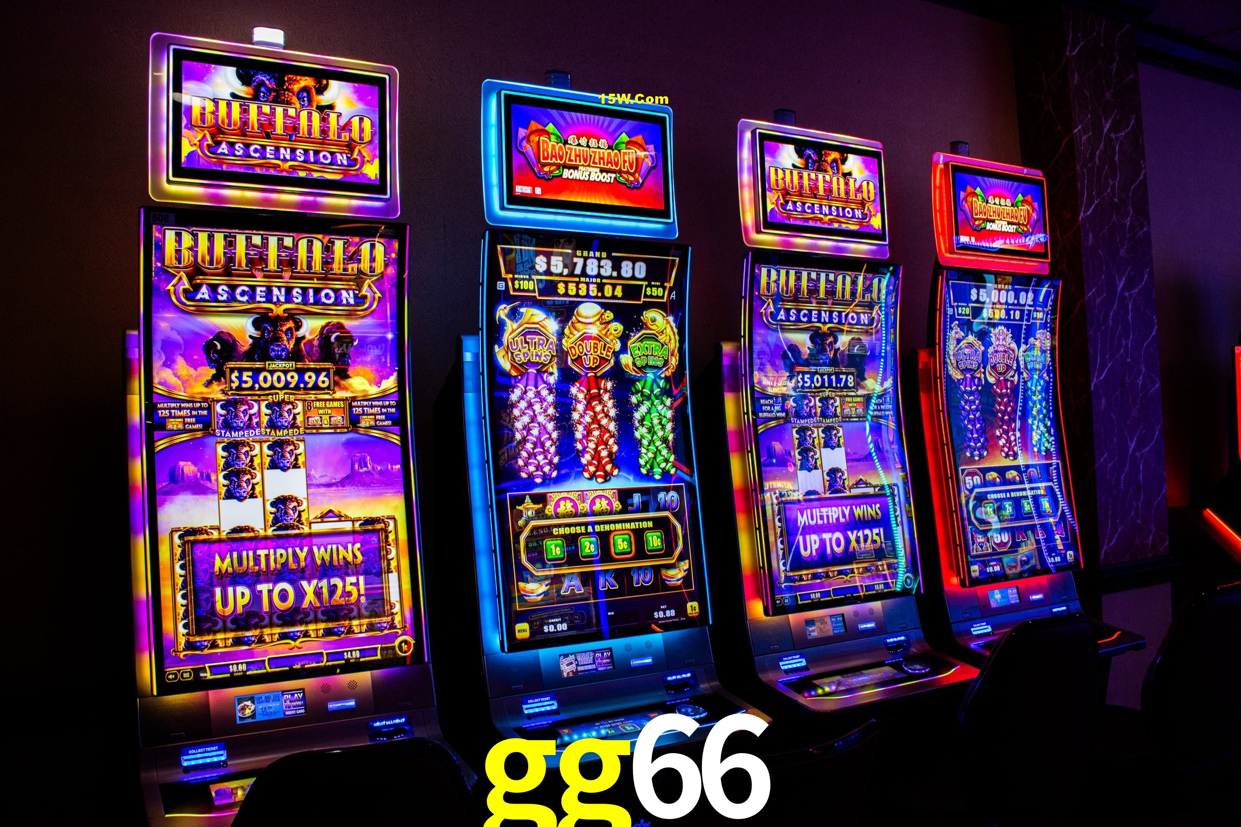 Experiência VIP gg66
